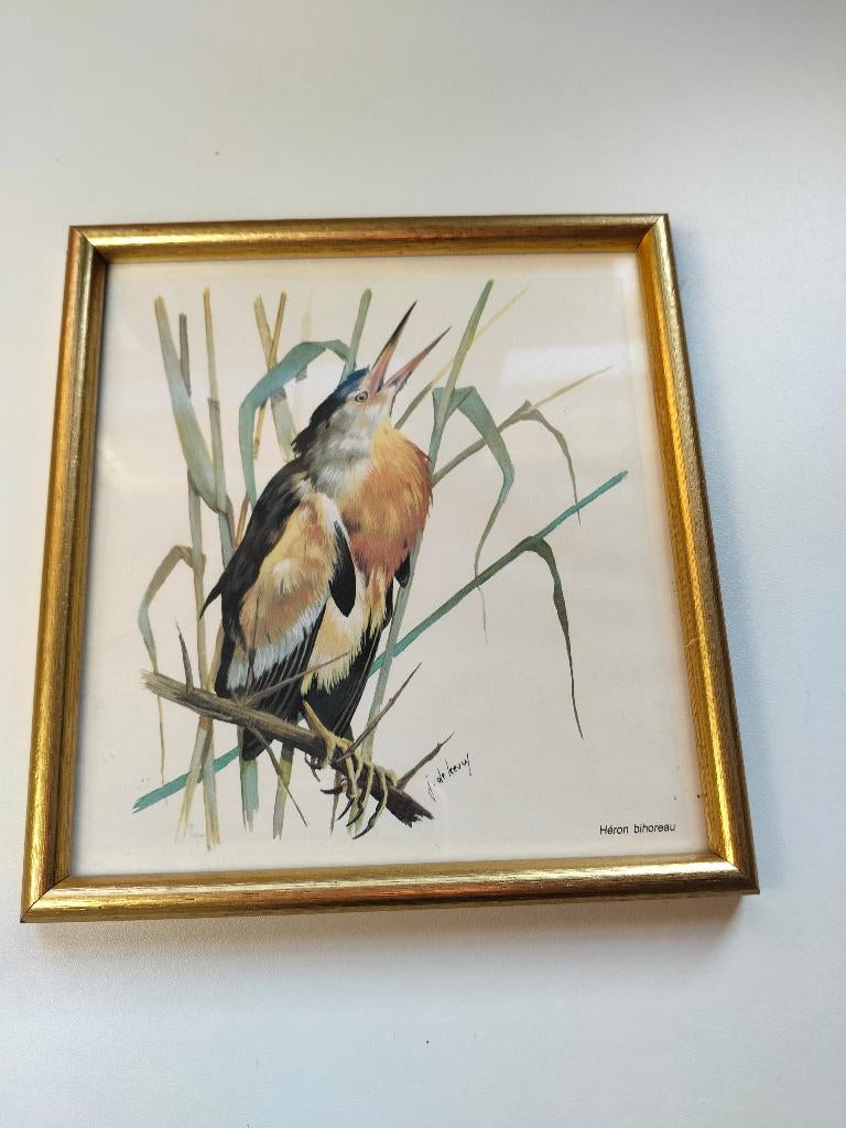 cadre avec oiseau, Maison & Meubles, Enlèvement