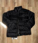 Zwarte Dior Oblique Puffer Jacket Jas (maat L) – Nieuwstaat, Maat 52/54 (L), Zwart, Nieuw, Ophalen of Verzenden
