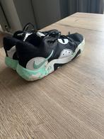Basketschoenen nike, Ophalen, Gebruikt