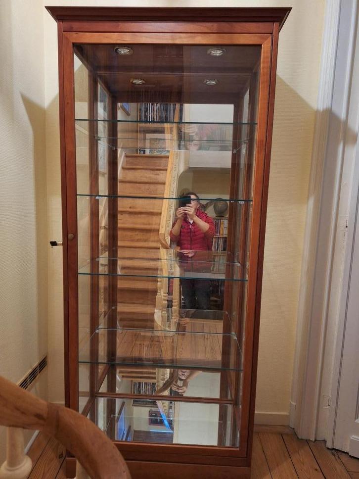 Vitrine de collection en acajou type musée, Huis en Inrichting, Kasten | Vitrinekasten, Zo goed als nieuw, Ophalen