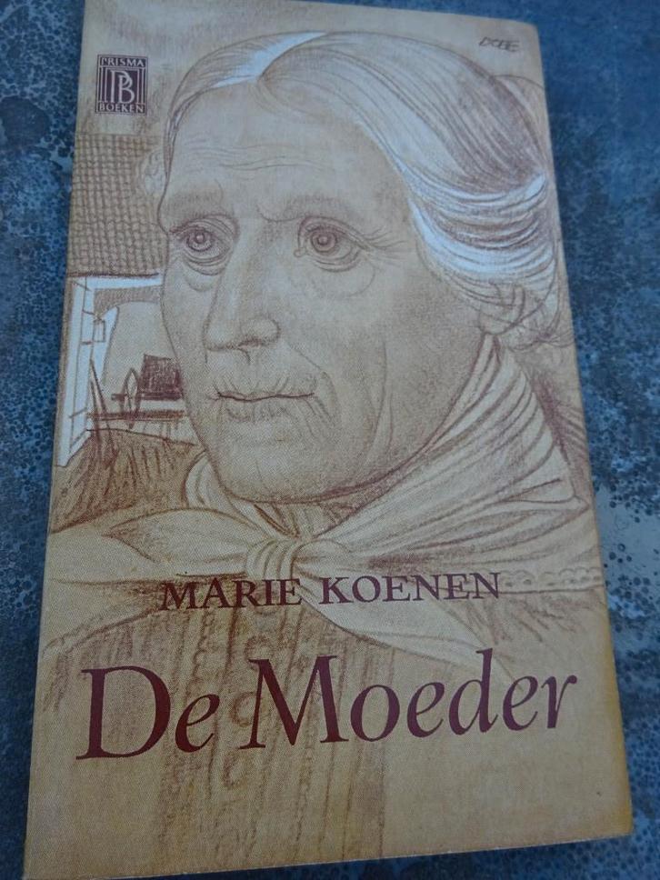 De moeder – Marie Koenen, Boeken, Romans, Ophalen of Verzenden
