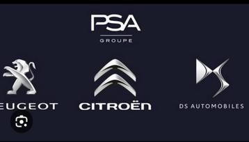 Peugeot citroen ds opel a beschikbaar voor biedingen