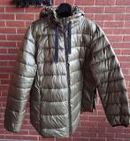 Winterjas dames Esprit XXL, als nieuw, Kleding | Dames, Ophalen, Zo goed als nieuw