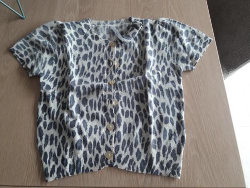 Bloes Miss Posh  14j grijs, Kinderen en Baby's, Kinderkleding | Maat 164, Zo goed als nieuw, Meisje, Trui of Vest, Ophalen of Verzenden