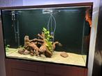 Aquarium 385l 110lx50bx70h weg=weg, Dieren en Toebehoren, Ophalen, Zo goed als nieuw