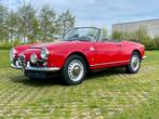 Alfa Romeo Giulia 1600 Spider MET GTA 1600 MOTORONDERDELEN, Auto's, Achterwielaandrijving, Zwart, Cabriolet, 1600 cc