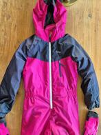 Skipak + handschoenen, Sport en Fitness, Skiën en Langlaufen, Ophalen of Verzenden, Gebruikt, Ski, Kleding