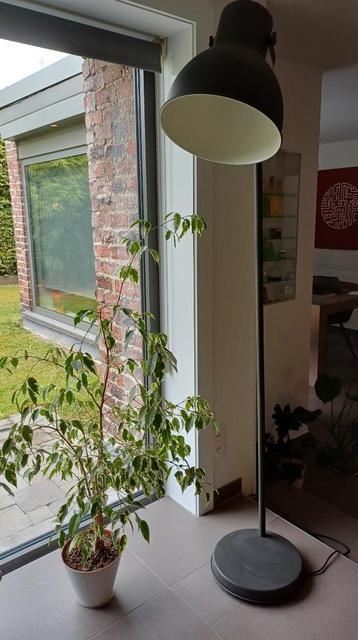 Staande lamp HEKTAR (Ikea) beschikbaar voor biedingen