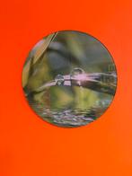 Décoration murale en verre 30cm URGENT départ à l’étranger, Ophalen, Zo goed als nieuw