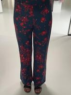 Broek Tous Simplement, Ophalen, Blauw, Zo goed als nieuw, Maat 36 (S)