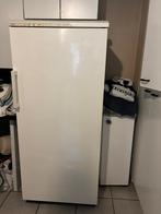 vriezer, Gebruikt, 160 cm of meer, Ophalen, Vrieskast