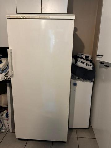 vriezer, Elektronische apparatuur, Vriezers en Diepvrieskisten, Gebruikt, 160 cm of meer, Ophalen, Vrieskast