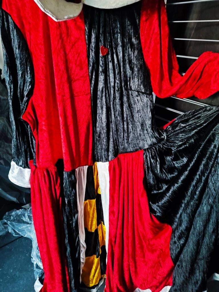 costumes femme - grande taille - personnages Disney, Vêtements | Femmes, Costumes de carnaval & Vêtements de fête, Porté, Vêtements