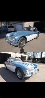 Austin Healey, Auto's, Oldtimers, Overige merken, 4 zetels, 110 kW, Blauw