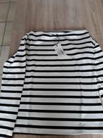 Dames truien maat XL En large, Ophalen of Verzenden, Zo goed als nieuw, Maat 42/44 (L), Overige kleuren