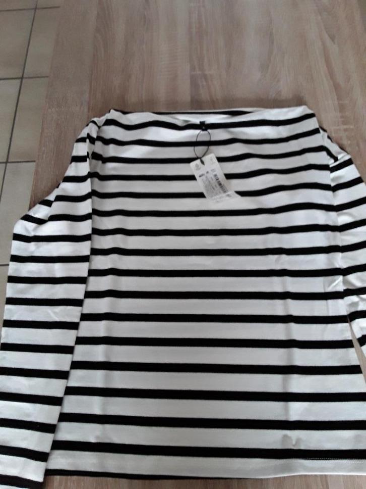 Dames truien maat XL En large, Kleding | Dames, Truien en Vesten, Zo goed als nieuw, Maat 42/44 (L), Overige kleuren, Ophalen of Verzenden