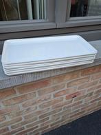 grote platte rechthoekige borden, Ophalen of Verzenden, Zo goed als nieuw, Bord(en), Effen