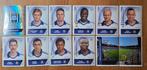 Panini Football 2014 lot van 12 verschillende Anderlecht!, Ophalen of Verzenden, Zo goed als nieuw, Meerdere stickers