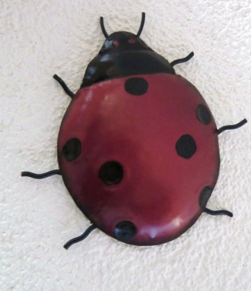 Wanddecoratie: Lieveheersbeestje (nieuw), Tuin en Terras, Tuinwanddecoratie
