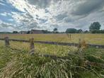 Stalhulp gezocht, Dieren en Toebehoren, Stalling