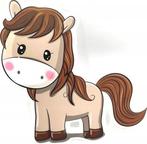 Gezocht grote bereden shetlander ruin of a pony, Dieren en Toebehoren