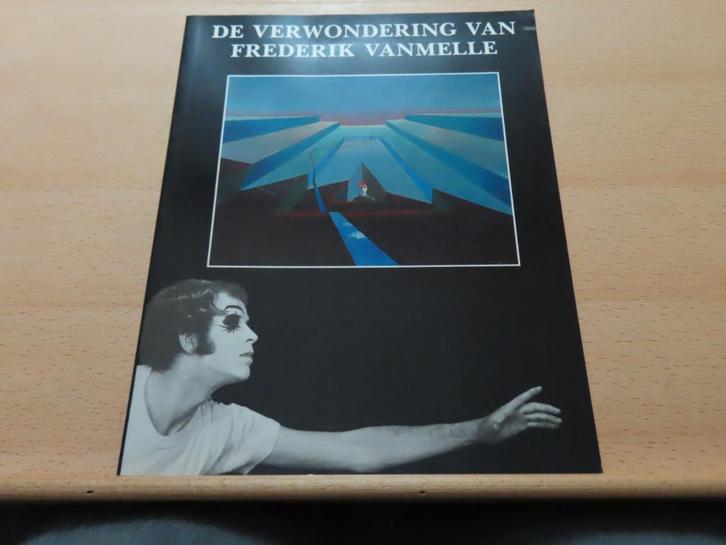De verwondering van Frederik Vanmelle – Bart Moerman, Boeken, Kunst en Cultuur | Beeldend, Zo goed als nieuw, Schilder- en Tekenkunst
