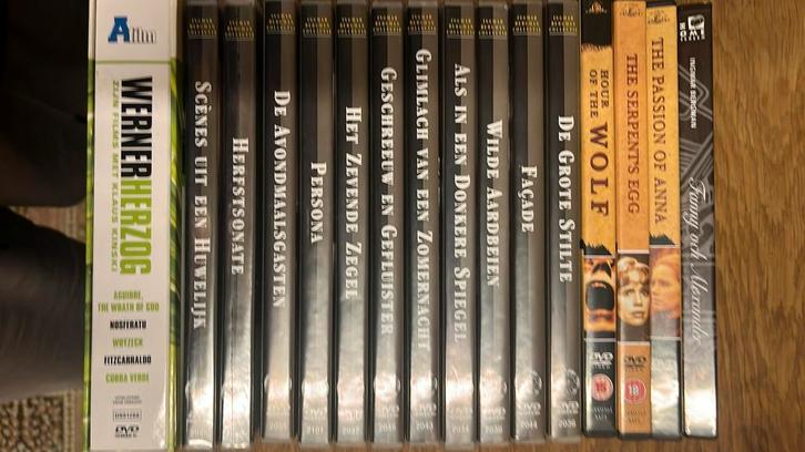 DVD Collectie - 22 DVD (Ingmar Bergman / Werner Herzog), Cd's en Dvd's, Dvd's | Klassiekers, Zo goed als nieuw, Ophalen of Verzenden