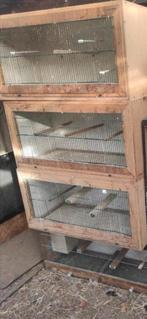 Kweekkooien, Dieren en Toebehoren, Knaagdieren en Konijnen | Hokken en Kooien, Ophalen of Verzenden, Zo goed als nieuw