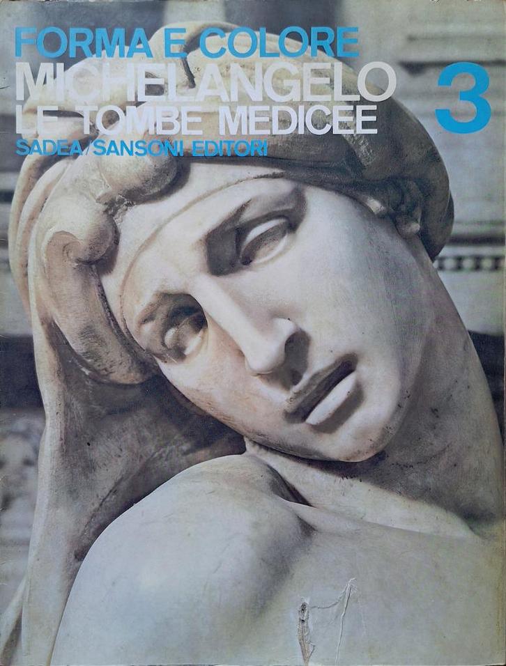 De Tombe van de Medici - Michelangelo, Boeken, Kunst en Cultuur | Beeldend, Gelezen, Beeldhouwkunst, Ophalen