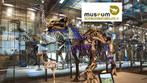 4 e tickets musée des sciences naturelles : 20 e les  4, Ticket of Toegangskaart, Drie personen of meer