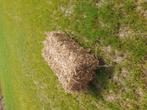 Erwtenstro, Dieren en Toebehoren, Schapen, Geiten en Varkens
