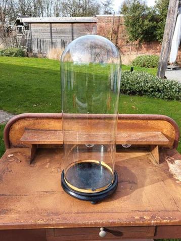 Globe en verre 50cm, Enlèvement