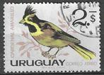 Uruguay 1962/1963 - Yvert 239PA - De gele kardinaal (ST), Affranchi, Envoi