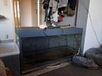 Juwel aquarium 180 liter, Dieren en Toebehoren