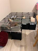 Accessoires voor cavia of konijn, Dieren en Toebehoren, Knaagdieren en Konijnen | Toebehoren, Ophalen, Zo goed als nieuw, Knaagmateriaal