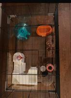 Hamsterkooi, Dieren en Toebehoren, Knaagdieren en Konijnen | Hokken en Kooien, Kooi, Gebruikt, Minder dan 75 cm, Hamster