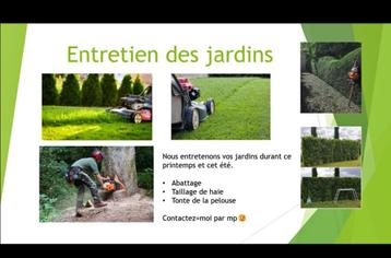 Entretien des jardin, Enlèvement, Comme neuf, 20 m² ou plus, Herbe