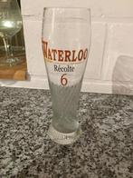 Verre à bière waterloo récolte 6, Nieuw, Ophalen of Verzenden, Bierglas