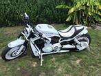 Unieke harley davidson night rod special, Motoren, Motoren | Harley-Davidson, Particulier