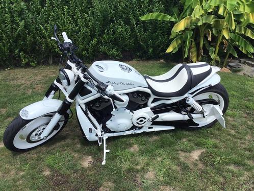 Unieke harley davidson night rod special, Motoren, Motoren | Harley-Davidson, Particulier, Ophalen