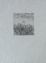 FRANS MINNAERT / HIJ WIL ERUIT / ZW-W ETS / 87x67cm / KADER, Antiek en Kunst, Ophalen