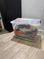 Lot de vêtements féminins neufs de marques, Enlèvement