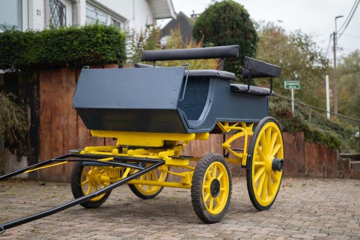 Voiture attelage chevaux, Dieren en Toebehoren, Rijtuigen en Koetsen, Zo goed als nieuw, Wagonette, Paard