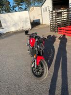 Ducati monster 937, 2 cilinders, Bedrijf, Meer dan 35 kW, Naked bike