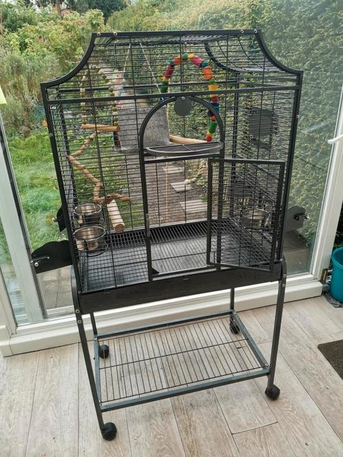 Cage pour perroquet gris foncé de type petit perroquet, Animaux & Accessoires, Oiseaux | Cages & Volières, Comme neuf, Enlèvement