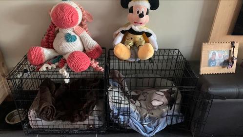 2 bancs pour petits chiens ou chiots, Animaux & Accessoires, Caisses pour chiens, Utilisé, Enlèvement ou Envoi