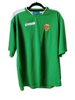 Slask Wroclaw 2005/06 thuis shirt, Ophalen of Verzenden, Zo goed als nieuw, Shirt