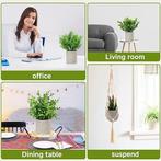 5 stuks | kunstplanten | GRATIS LEVERING, Binnen, -, -, Nieuw