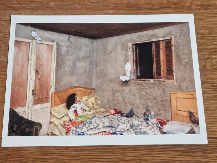 Bieke Depoorter , As it may be . Genummerde editie de Standa, Antiek en Kunst, Kunst | Litho's en Zeefdrukken, Ophalen of Verzenden