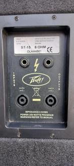 Speakers Peavey ST-15, Audio, Tv en Foto, Luidsprekerboxen, Gebruikt, 120 watt of meer, Front, Rear of Stereo speakers, Ophalen